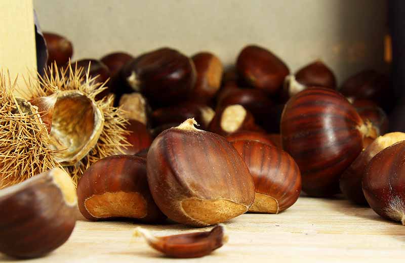 Das Törggelefest in St. Oswald