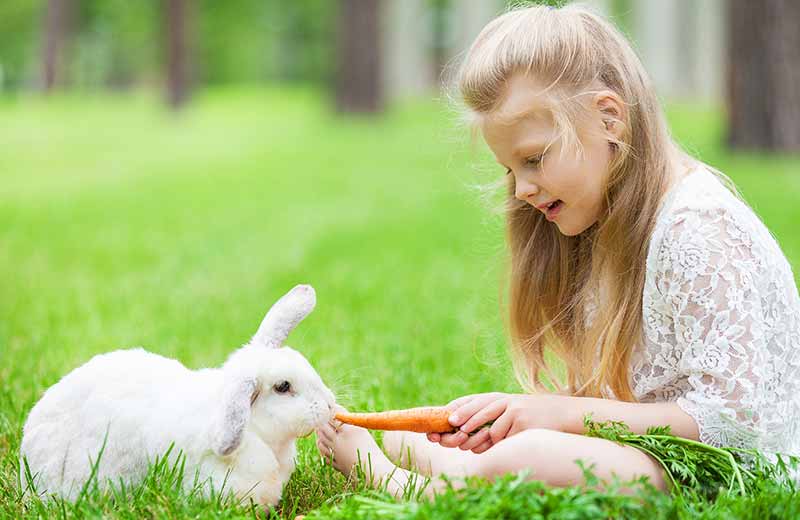 Urlaub auf dem Bauernhof