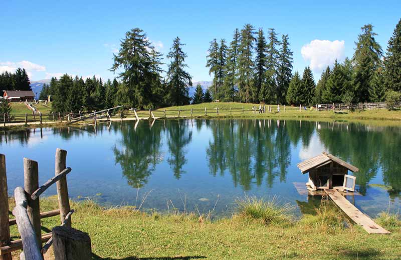 Wanderung zur Marinzen Alm